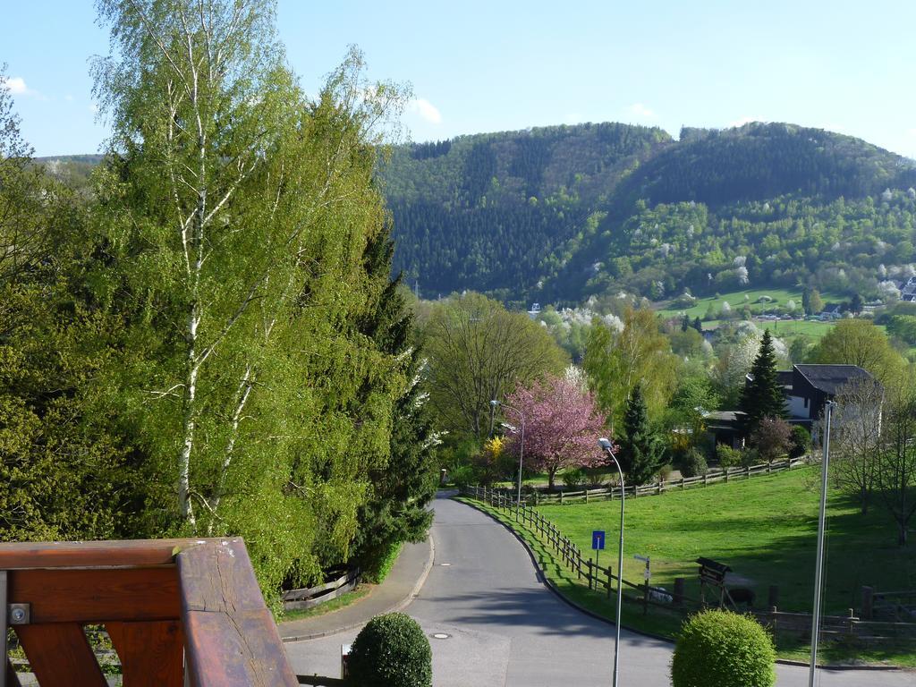 Pension Haus Diefenbach Heimbach Extérieur photo